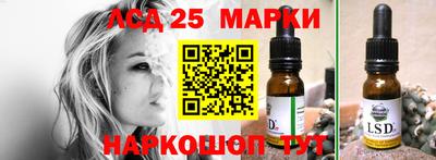 гидропоника Краснодар