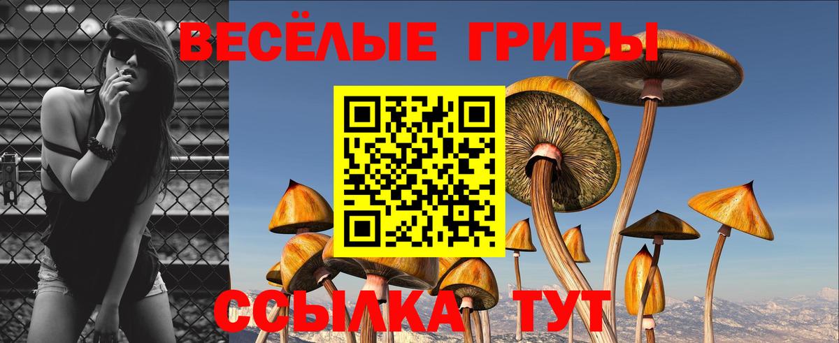 Янаул  Галлюциногенные грибы Psilocybe  Вход с VPN 